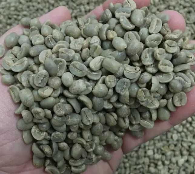 Coffee Beans 