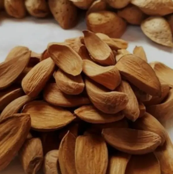 Mamra Almond