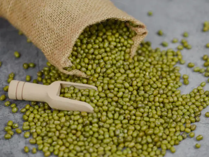 seeds Green Mung Beans